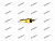 Датчик температуры ОЖ MC844972 Fuso Canter  Y